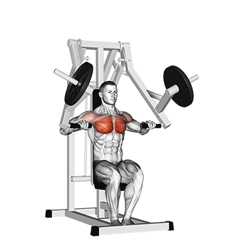 Supino na máquina