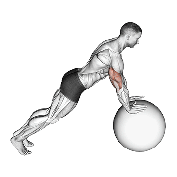 Flexão na bola de estabilidade