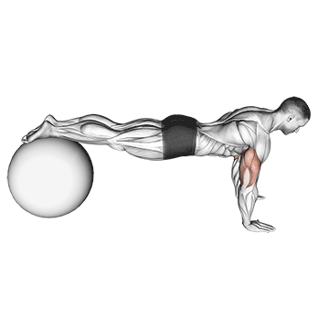 Flexão na bola de estabilidade