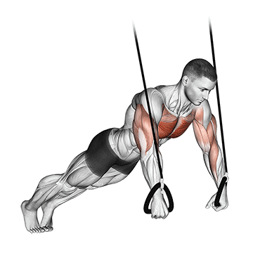 Flexão de braço no suspensor