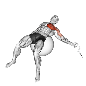 Crucifixo unilateral na polia com bola de exercício