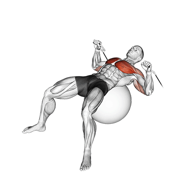 Supino na polia com bola de exercício