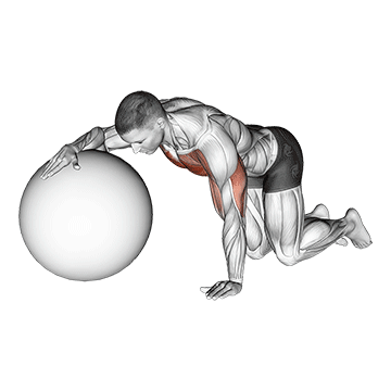 Alongamento de peitoral com bola de pilates