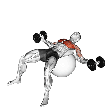 Crucifixo com halteres na bola de pilates