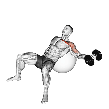 Crucifixo inclinado unilateral com halteres na bola de pilates