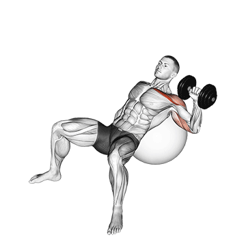 Supino inclinado unilateral com halteres na bola de pilates