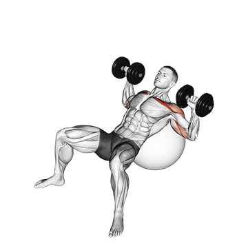 Supino inclinado com halteres na bola de pilates