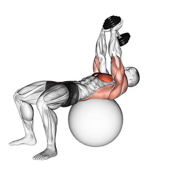 Pullover com halteres na bola de pilates