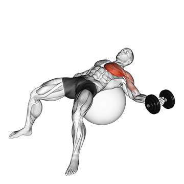 Crucifixo unilateral com halteres na bola de pilates