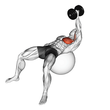 Crucifixo unilateral com halteres na bola de pilates