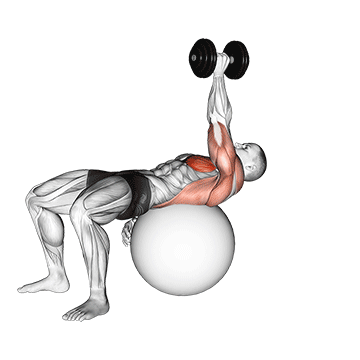 Pullover unilateral na bola suíça com halteres