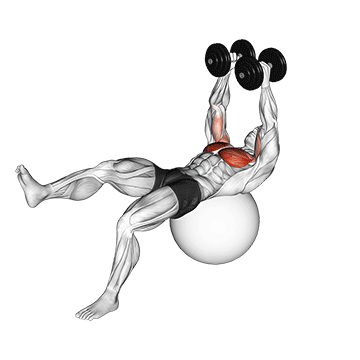 Crucifixo unilateral na bola suíça com halteres