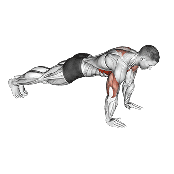 Flexão de braço plus