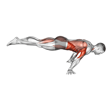 Flexão no planche completo